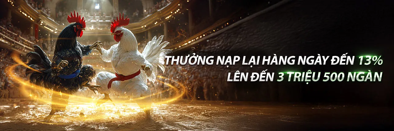Đá Gà jun888 đăng nhập